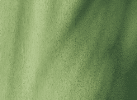 Login Header Background